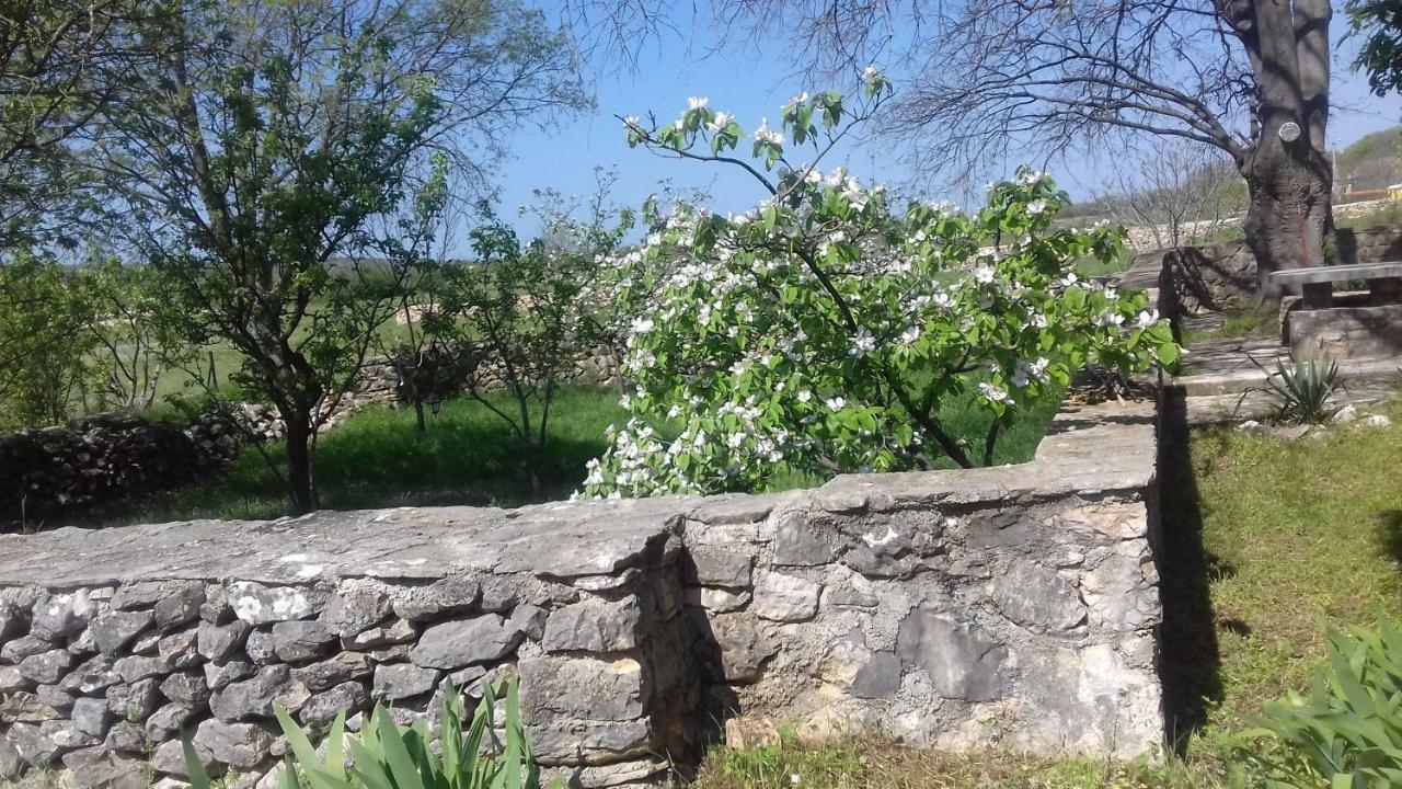 Family Friendly Holiday Home "Ana" Σίμπενικ Εξωτερικό φωτογραφία